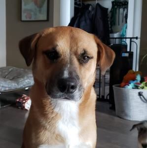 Meet your Posher, Chris